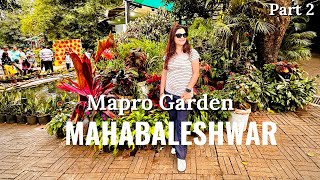 Mahabaleshwar Vacation  Mapro Garden  Things to do  Places to visit  Strawberry Farm  Part 2 [upl. by Swamy]