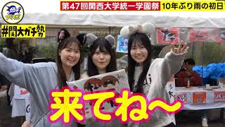 【関大ガチ勢】第47回関西大学統一学園祭が開幕 [upl. by Aehtna]