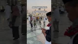 Pertama Kali Mualaf Inggris Sholat Di Mesjid Nabawi [upl. by Aihk486]