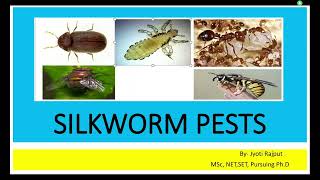 Silkworm Pest I Sericulture I I SYBSc I [upl. by Ebbarta]