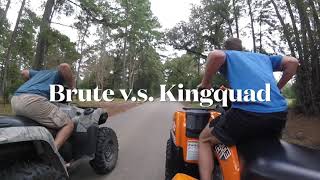 Brute force VS Kingquad [upl. by Ymereg]