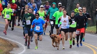 Dog Accidently Joins Half Marathon Finishes Race In 7th Place [upl. by Martel]