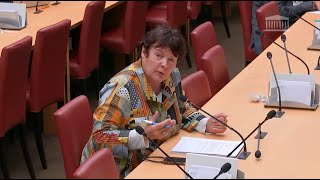 Commission des affaires économiques  Audition de représentants d’Action Logement Groupe [upl. by Enecnarf]