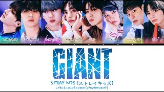 STRAY KIDS ストレイキッズ  GIANT LYRICS COLOR CODED JPNROMENG [upl. by Hike363]