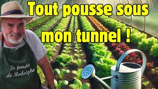 Visite guidée de mon potager dhiver et astuces pour des semis réussis [upl. by Iarahs]