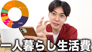 お金使いすぎ？一人暮らしYouTuberの家計簿を公開します。 [upl. by Ahsitniuq]