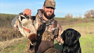 I SHOT A BANDED MALLARD  Public Refuge Duck Hunt [upl. by Ellerahc]