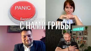 С нами грибы Тревожность Владимир Бекетов Елена Александрова Михаил Вишневский [upl. by Dhruv]