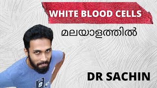 white blood cells  malayalam  leukocytes  body fluids and circulation  class 11  inflammation [upl. by Pavior]