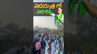 పాదయాత్ర లో హరిశన్న  harishrao  revanthreddy  brs  kcr  ktr  grtv telugu [upl. by Celestia986]