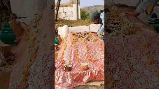 Hazrat Chhote Mastan ki Dargah Aurangabad Mein Hai yah Dargah [upl. by Prissy]