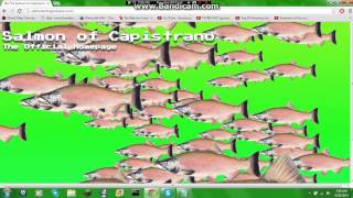 The Salmon of Capistrano [upl. by Hinson]