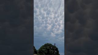 NUVENS ALGODÃO MAMMATUS ANTES DA TEMPESTADE NO RIO GRANDE DO SUL [upl. by Asim197]