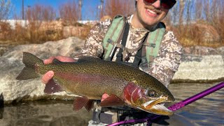 BIG FISH Eat TINY FLIES Winter Fly Fishing a Colorado Tailwater [upl. by Alios]