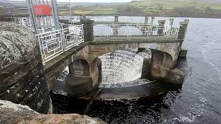 dam reservoir plughole overflow walk 2023 [upl. by Naahs323]