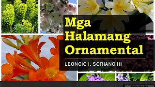 MGA HALAMANG ORNAMENTAL EPP4 [upl. by Service]