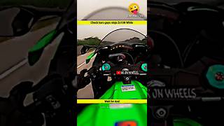 Zx10r top speed whalle😱😱 motovlog short bike rider prorider 1000 [upl. by Lipscomb896]