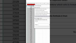 Conditional Formatting in Excel‼️ excel [upl. by Nawotna658]