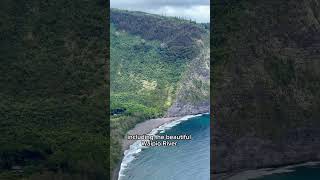 Fascinating facts about Waipio Valley Lookout shortsvideo nature travel [upl. by Gnel]