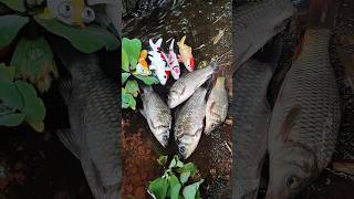 Fishing fishing freaks varal fishing varal fishing traveling kadukumani one [upl. by Alleb107]