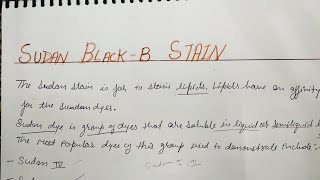 Sudan BlackB Stain [upl. by Priest]