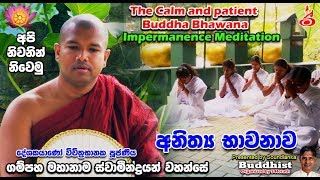 Gampaha Mahanama Swamin Wahanse  අනිත්‍ය භාවනාව  Impermanence Meditation [upl. by Dorcia423]