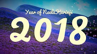 Welcome to the Year of Neelakurinji  Happy New Year [upl. by Amak]