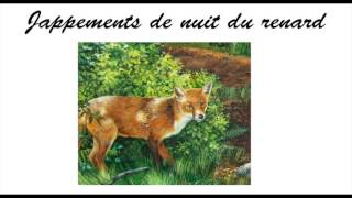 cris nocturne du renard [upl. by Evania]