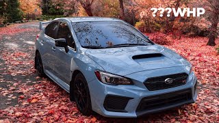 Time to get serious Series Grey STI Build Part 1 [upl. by Filahk]