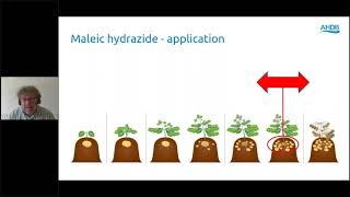 Webinar recording Maleic Hydrazide A foundation for potato storage [upl. by Jennings522]