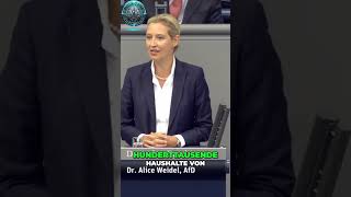 Alice Weidel StromkostenDrama  Wirtschafts und WissenschaftsNonsense enthüllt [upl. by Hanselka]