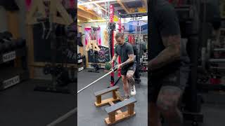 DIY belt squats using the tbar row platform amp community advice shorts [upl. by Arly734]