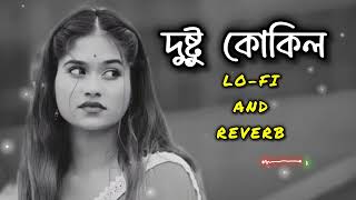 দুষ্টু কোকিল   lofi  slowed and reverb  2024 trendingsong N OfficialYouTube [upl. by Aspasia47]