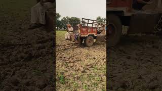 Manure amp Fertilizer 😱😱  AgriFarm Vlog  shorts ytshorts farming [upl. by Amadis]