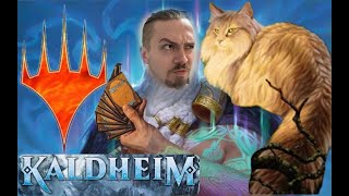 Magic The Gathering Kaldheim Booster Box Break  Feline Lucky Today Boys  Quest for Cat [upl. by Arahat]