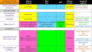 Hormonal amp Autacoid control of Renal Circulation Chapter 27 part 5 Guyton and Hall Physiology [upl. by Rella278]