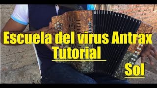 Escuela del virus Antrax  Calibre 50  Tutorial  Acordeon de Sol  Red de Mando [upl. by Hance]