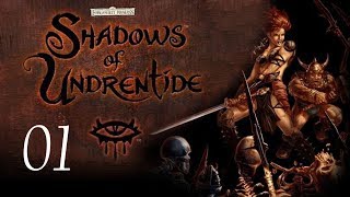 Neverwinter Nights Shadows of Undrentide  01  Introduction [upl. by Serles]