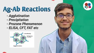 Antigen Antibody Reaction  Agglutination  Precipitation  ELISA  Microbiology bangla lecture [upl. by Suhcnip]