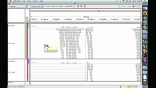 Analyzing Public Datasets 7 An Introduction to IGV genomic [upl. by Ives346]