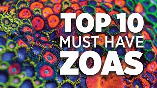 Top 10 Must Have Zoanthids  World Wide Corals [upl. by Nalla]