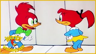 Woody Woodpecker  Get Lost  Old Cartoon  Woody Woodpecker Full Episodes  Videos for Kids [upl. by Thesda706]