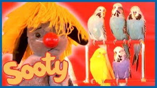 Magical Birds at the Circus  The Sooty Show [upl. by Margret636]