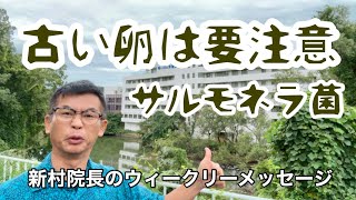 古い卵に気をつけて！サルモネラ菌 新村院長のウィークリーメッセージ第192弾 [upl. by Nonnag285]