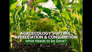 Agroecologys Uptake Appreciation and Consumption  What Needs to be Done [upl. by Ymmij]