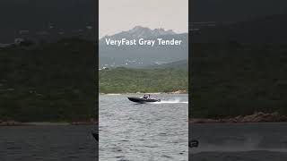 VeryFast Gray Tender trending viralvideo travel summer season adventure vacation 500subs [upl. by Wyn]