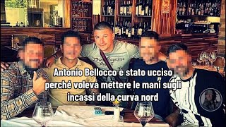 Antonio Bellocco è stato ucciso perché voleva mettere le mani sugli incassi della curva nord [upl. by Kathleen]