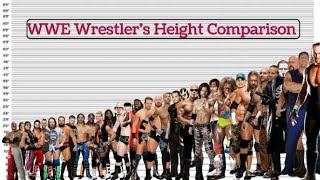 WWE Wrestlers Height Comparison [upl. by Enineg859]