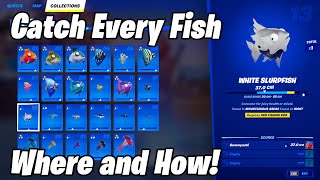 All 40 Fish Locations How to Catch Every Fish in Fortnite Season 4 [upl. by Mignonne851]