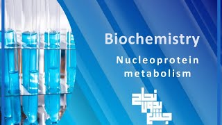 Nucleoprotein metabolism quot pyrimidinequotBioL5 part 2 [upl. by Nolos]